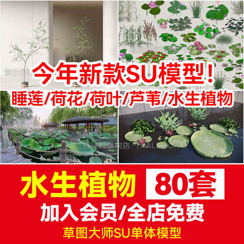 水生植物su模型草图大师鱼池生态湿地滨水公园池塘睡莲荷花荷草本...