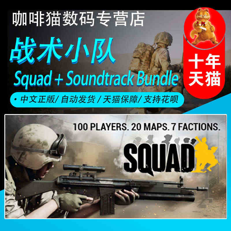 STEAM PC正版中文 Squad 战术小队 行动小组 国区全球激活...