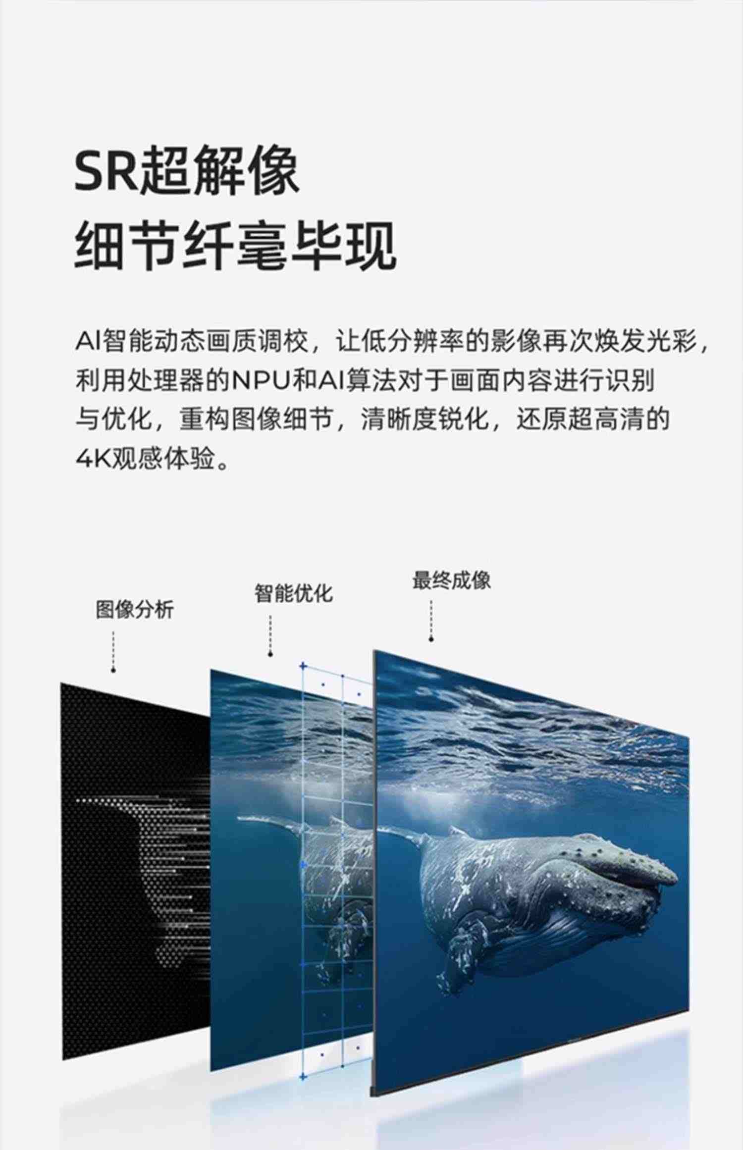 海信50E3G 50英寸悬浮全面屏电视机4K智能网络高清平板液晶彩电55