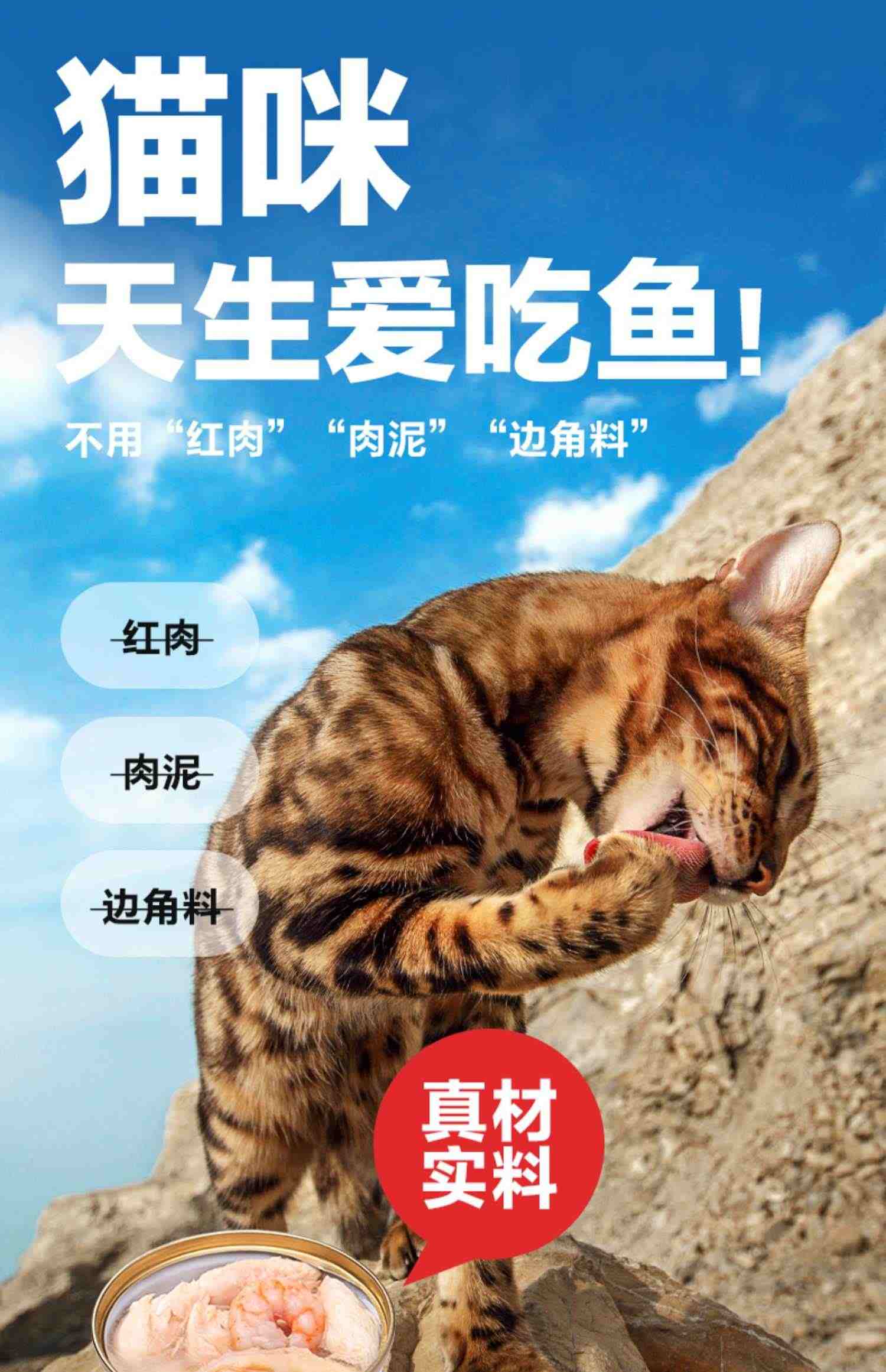 Hunter猎手宠物金枪鱼肉猫罐头营养增肥成幼猫白肉零食品汤罐组合