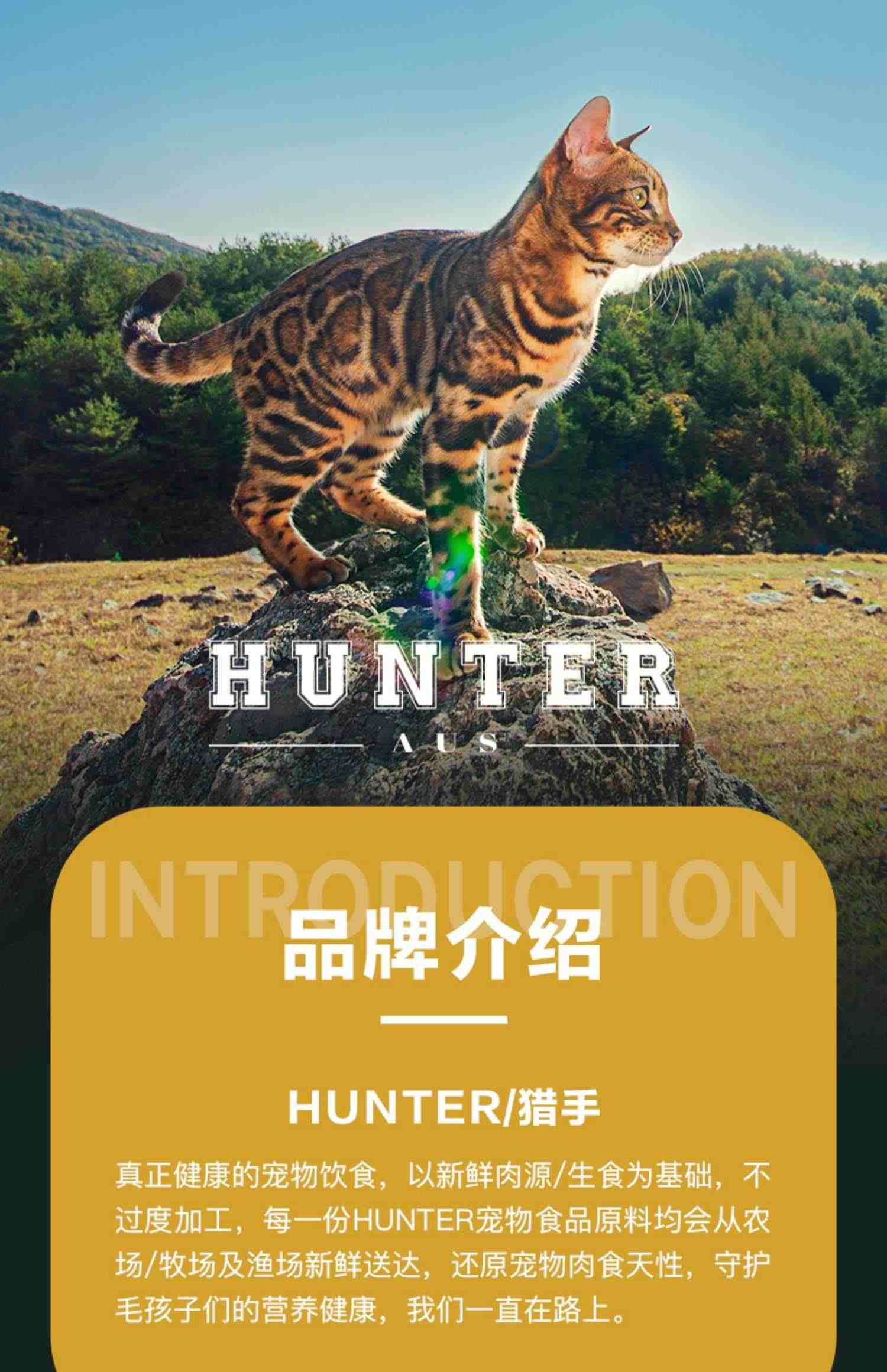 Hunter猎手宠物金枪鱼肉猫罐头营养增肥成幼猫白肉零食品汤罐组合