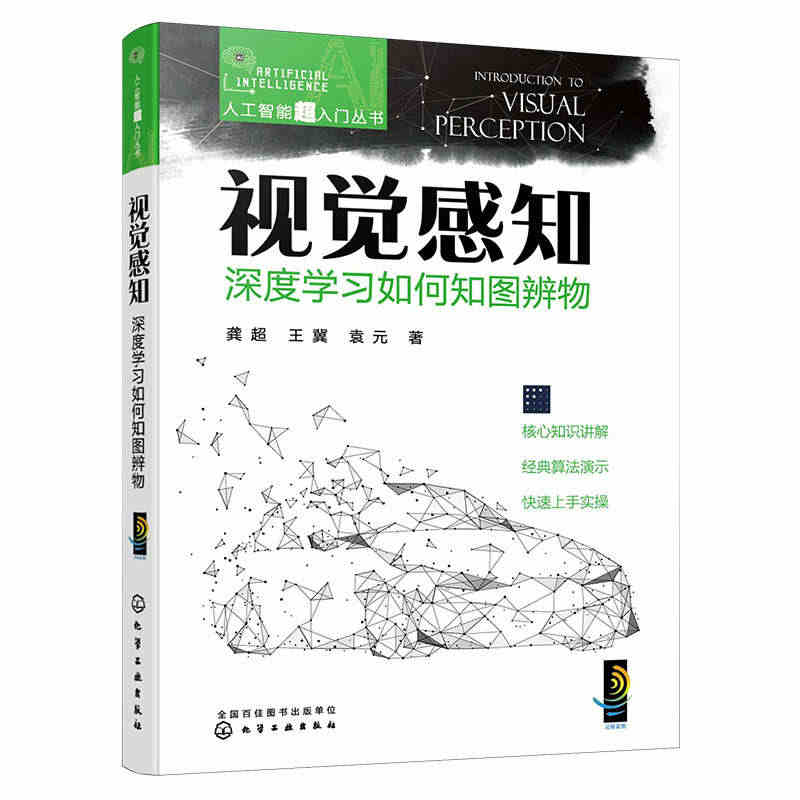 人工智能超入门丛书--视觉感知：深度学习如何知图辨物 ChatGPT聊...