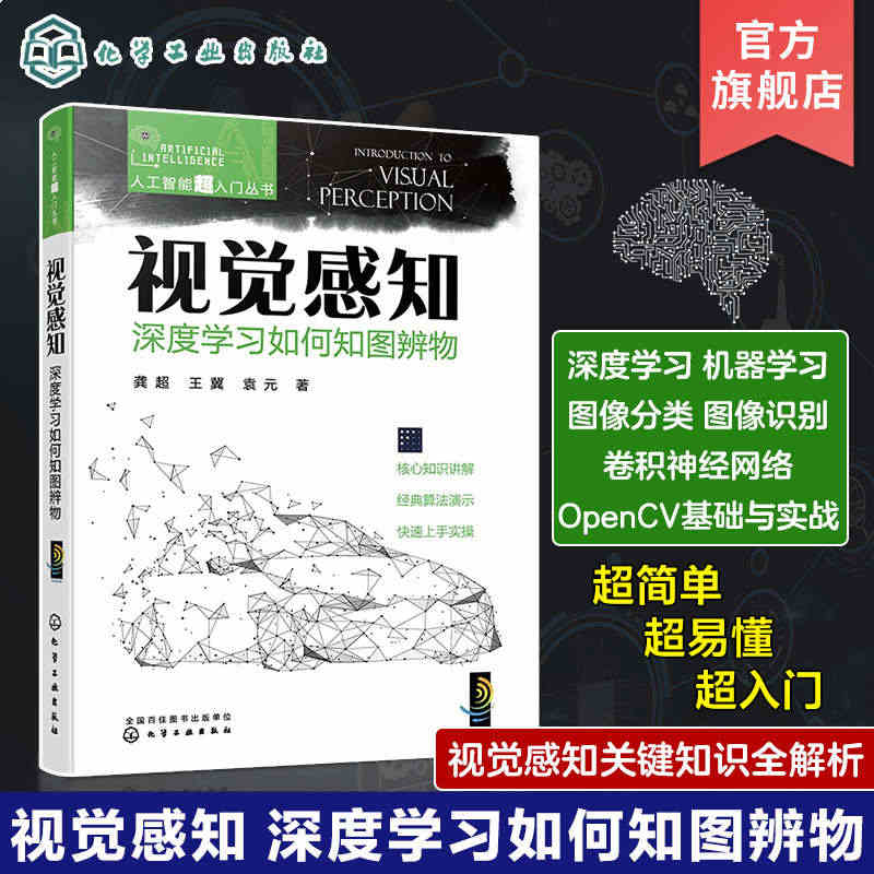 视觉感知 深度学习如何知图辨物 龚超 人工智能超入门丛书 图像识别机器...