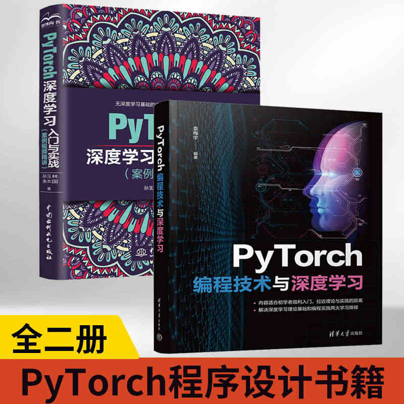 全2册 PyTorch深度学习入门与实战+PyTorch编程技术与深度...