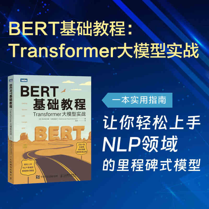 BERT基础教程 Transformer大模型实战 自然语言处理模式实...