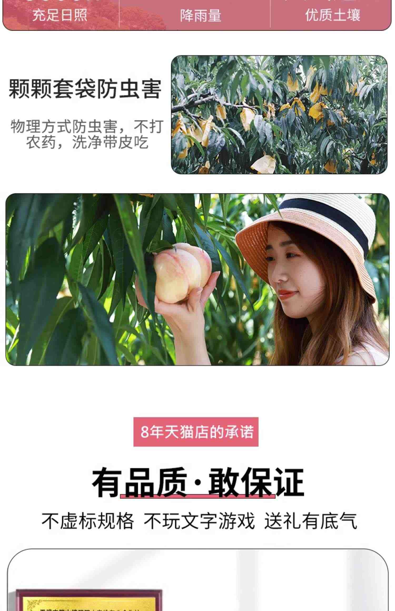 【K姐推荐】正宗阳山水蜜桃无锡特产新鲜孕妇水果白凤桃子礼盒装