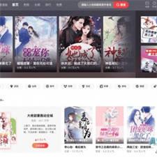 漫画网站小说源码程序CMS系统源码下载