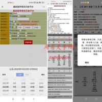 周易大学top九龙道长同款八字排盘网站/八字排盘算命系统程序软件源码z...