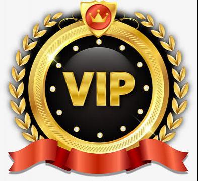 中级会员 游戏源码论坛【有效期1年】