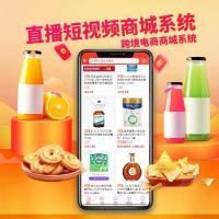 跨境电商系统多语言自带10万件主流商品一件铺货苹果APP上架完成