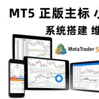 搭建维护外汇软件mt5搭建维护正版主标白标搭建外汇MT5软件系统app软件系统源码
