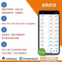 搭建外汇交易软件MT4外汇交易软件ST5股票指数黄金交易软件st5外汇交易软件搭建维护