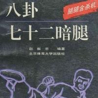 八卦72暗腿（赵振忠）.pdf