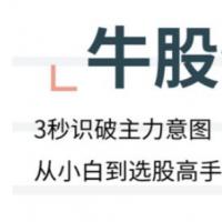 【李栋】无为学院《牛股实操特训营》1N 66节[视频版]