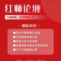 【红师论缠】以缠破缠，以智慧破无名《第一期》2021年 39视频