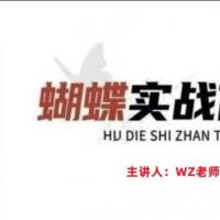 无为王志老师蝴蝶实战体系