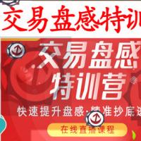 【无为投资】无为战法之《交易盘感特训营》258期[视频版]