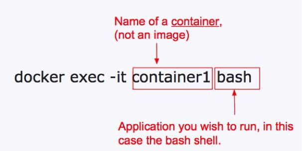 如何用Docker成为更高效的数据科学家？