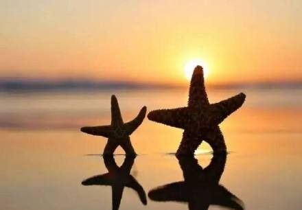 为什么不在小、初、高阶段进行法律常识教育？ - 宋马