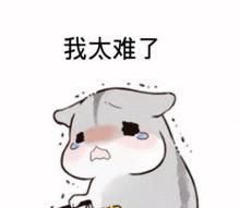 2020年法考科目有哪些？各科分值占比是多少？