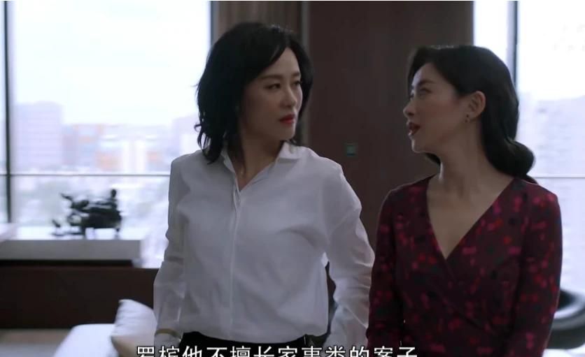 《精英律师》中，面对父亲的无理取闹，为什么栗娜一次次拒绝罗槟的协助？