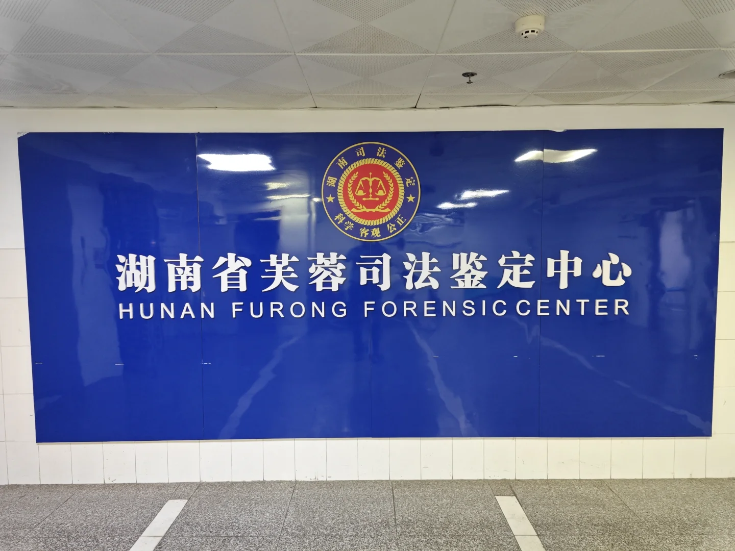 湖南伤残鉴定流程及收费标准 - 宋马