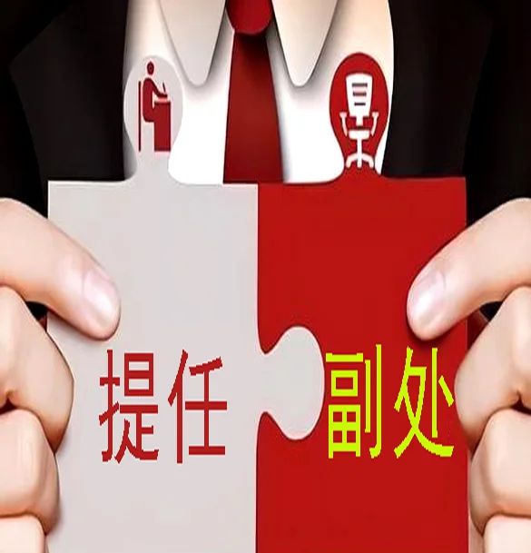 正科提任副处级职务必须满足哪些硬性要求 - 宋马