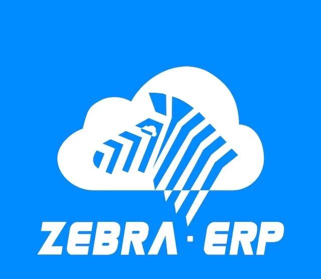 国内知名的跨境电商ERP有哪些？ - 宋马
