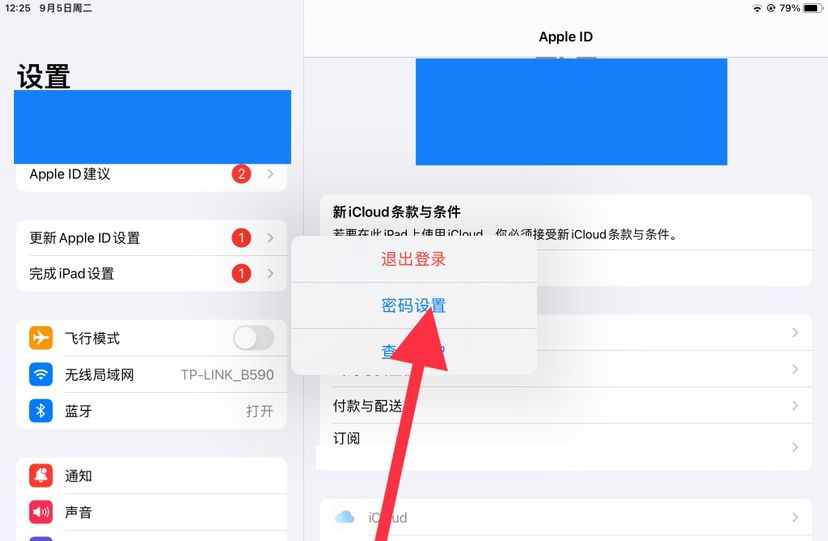 ipad怎么设置每次下载都需要密码？ - 宋马