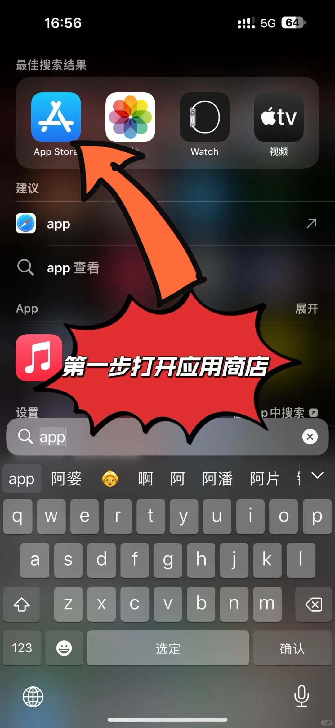 苹果安装2个 - 宋马