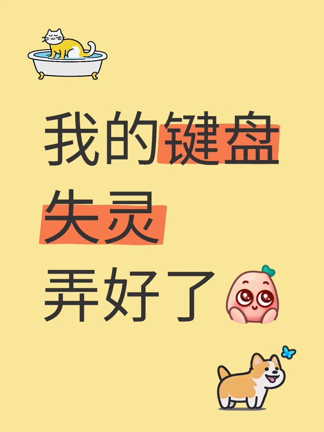 我的键盘失灵恢复了！！