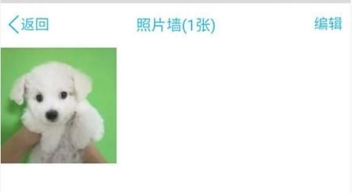 怎么设置手机QQ照片墙？