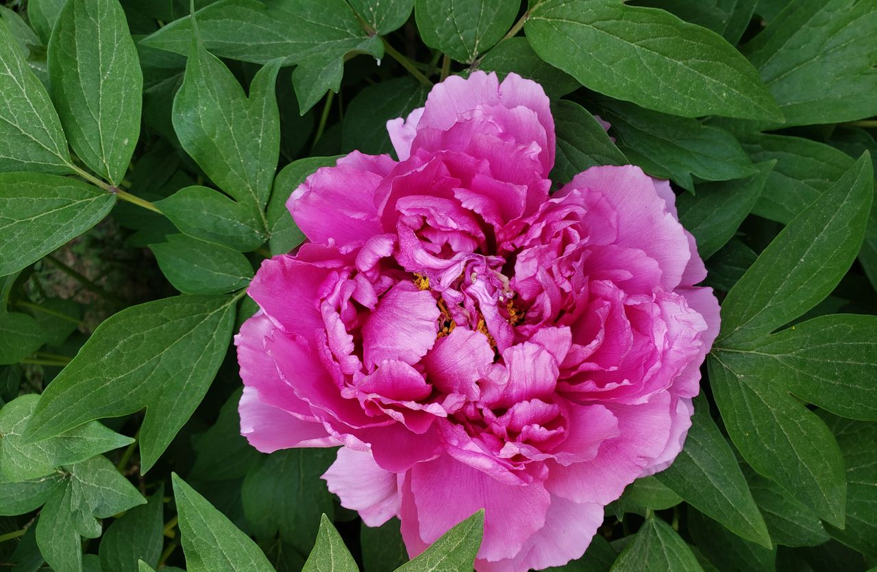 朋友圈的相册封面可以设置不让某些人看到吗?