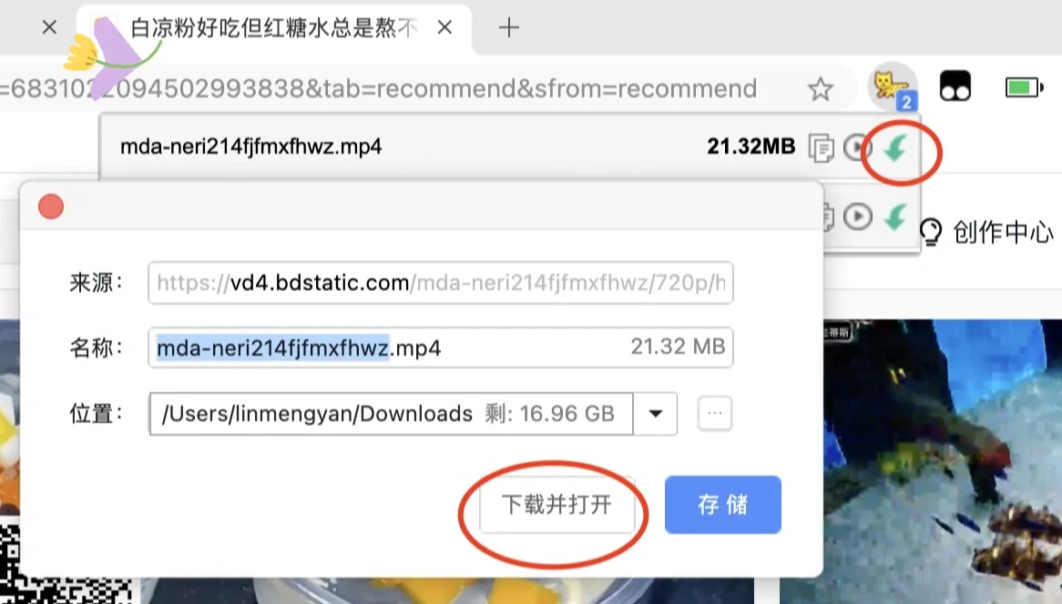 教师必会的网络视频下载方法，含超详细操作 - 宋马