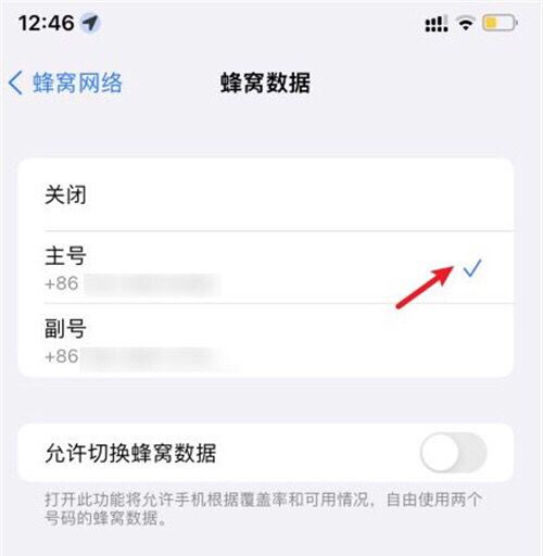 苹果14怎么切换主副卡流量？ - 宋马
