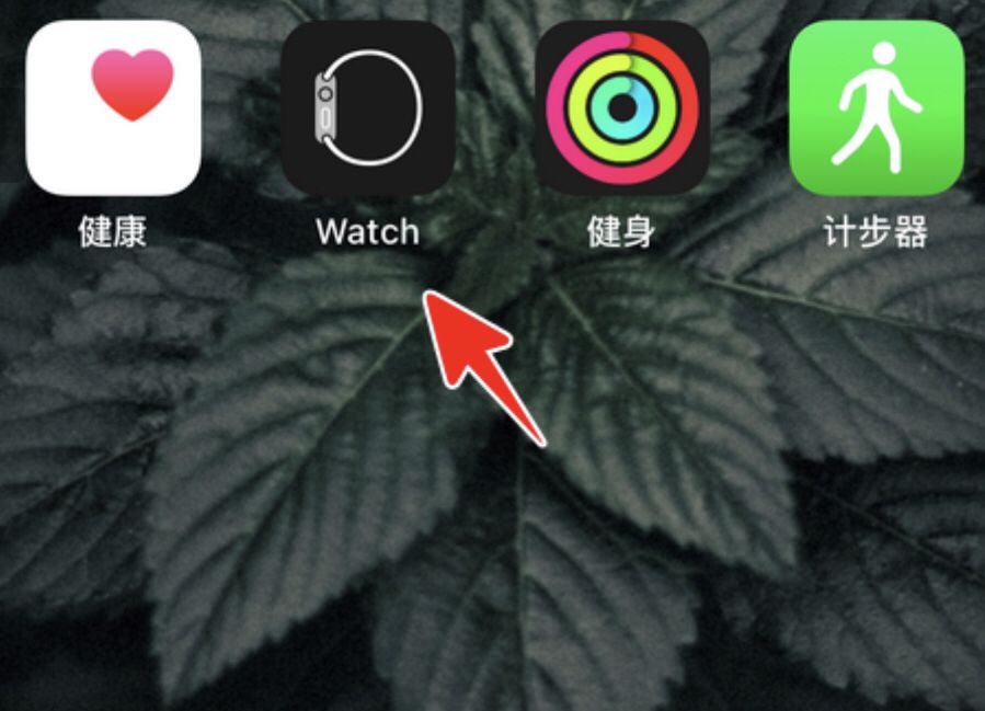 苹果手表微信不显示内容怎么设置？ - 宋马