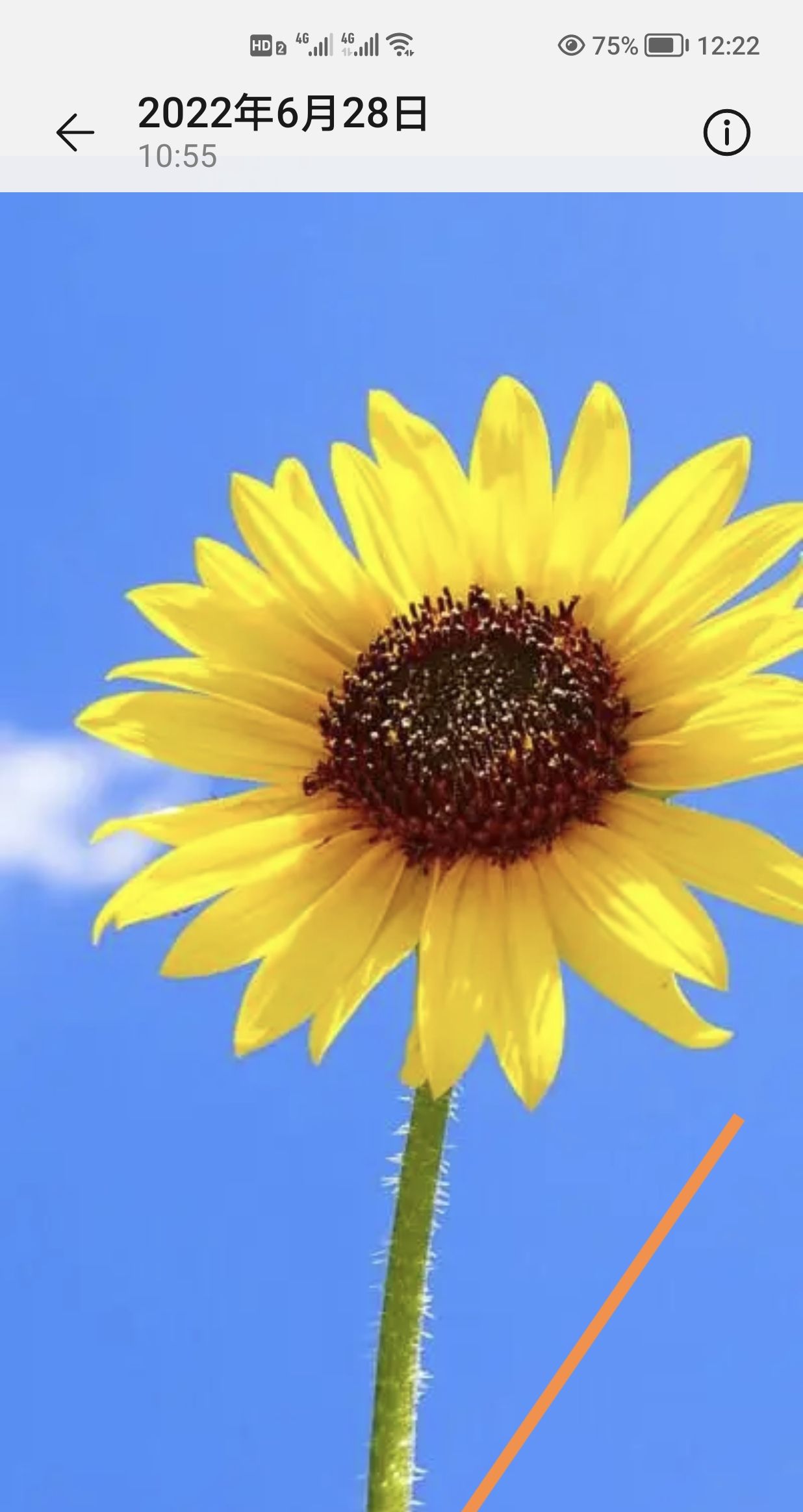 如何在照片下方空白处加文字？ - 宋马