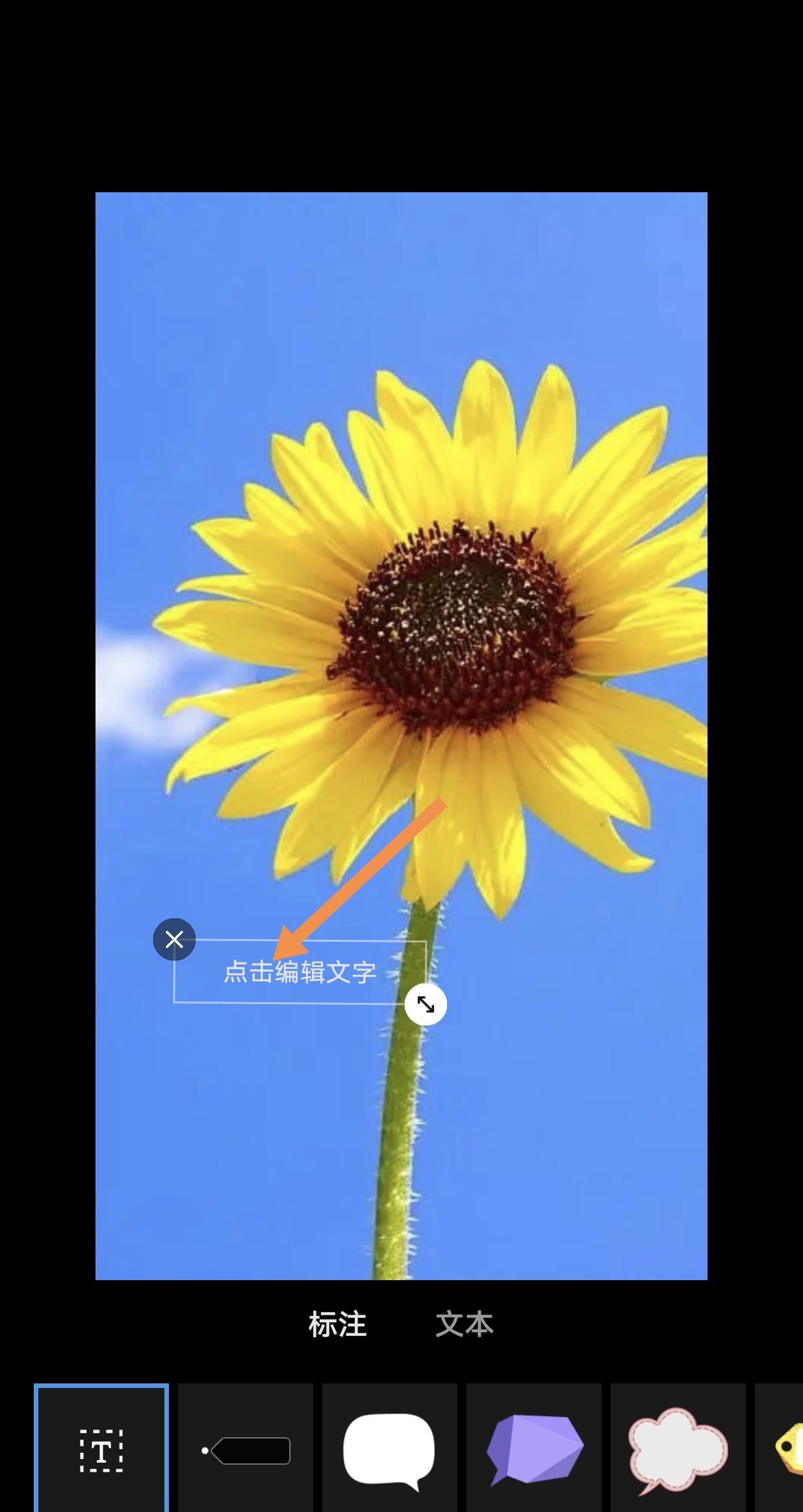 如何在照片下方空白处加文字？ - 宋马