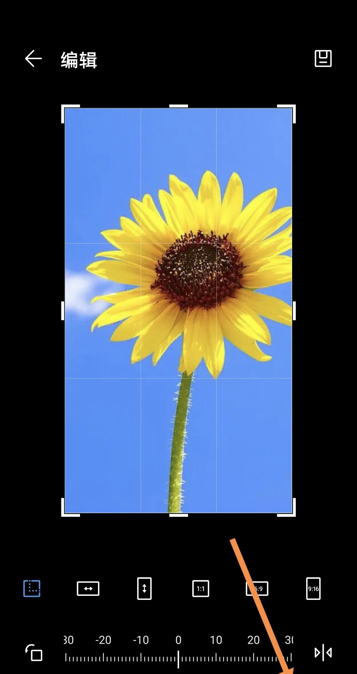 如何在照片下方空白处加文字？ - 宋马