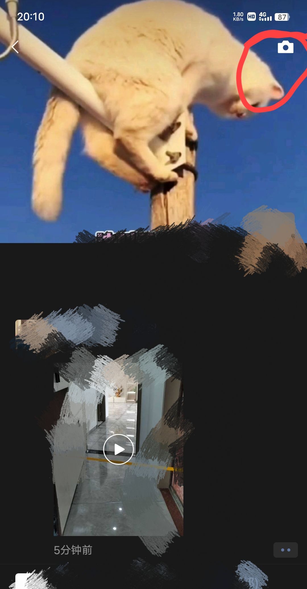 微信发朋友圈怎么只发文字？