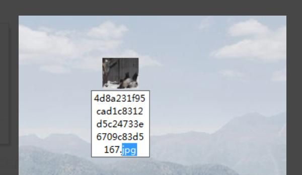 微信如何发动图?