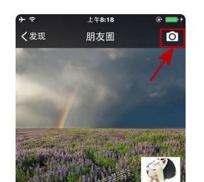 微信如何发动图？