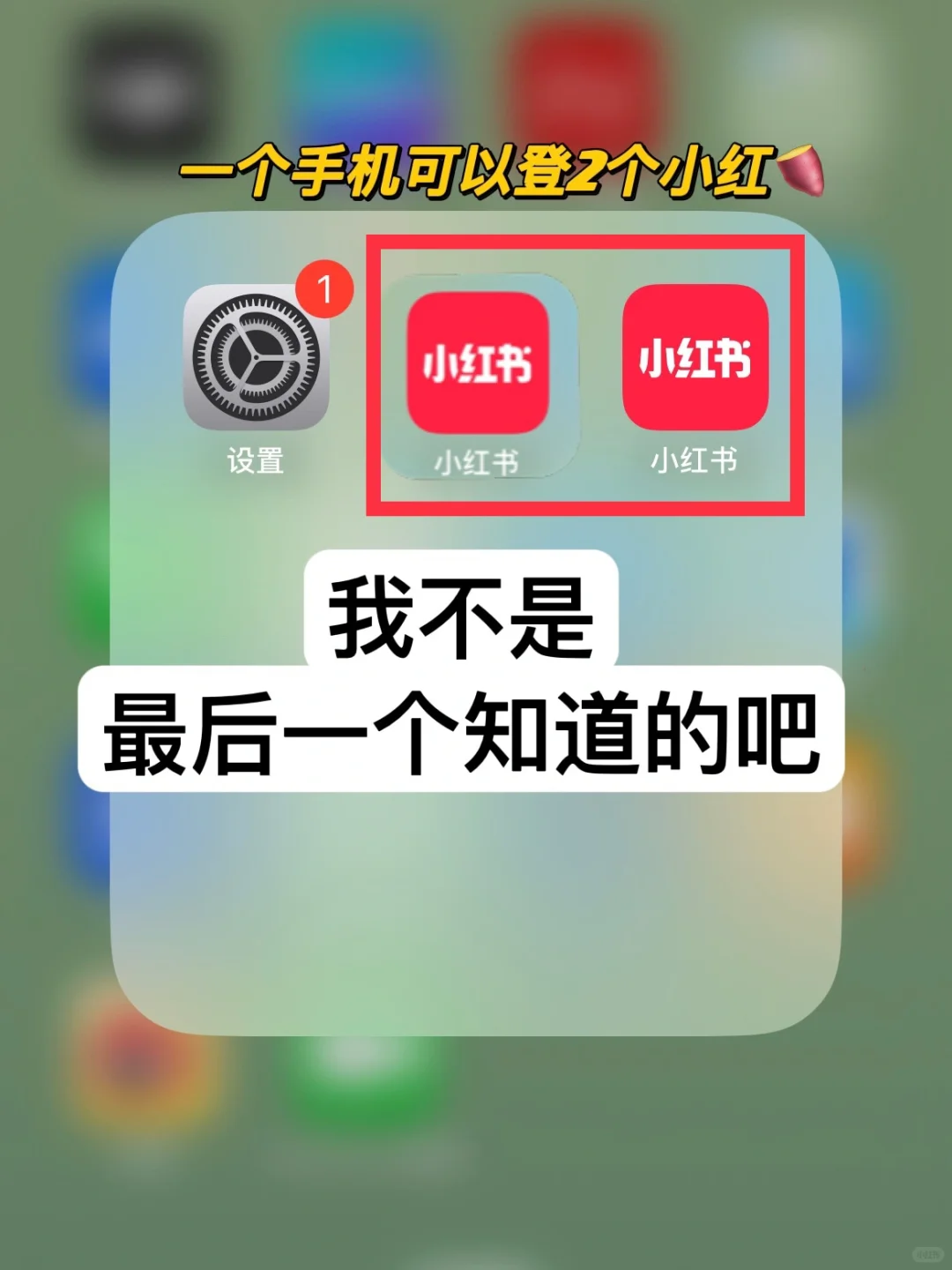 一个手机可同时登2个小红🍠？我怎么才知道