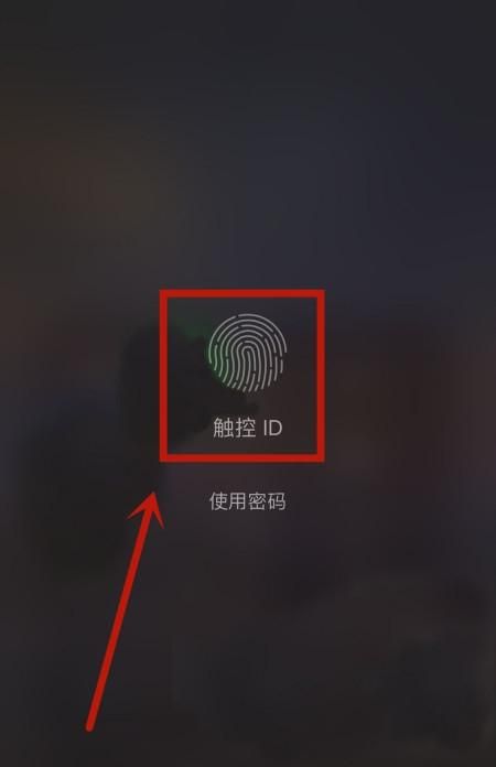 无法在此iphone上激活触控id怎么办？