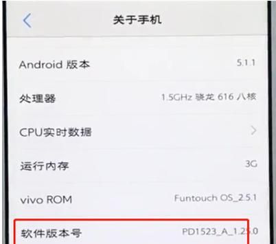 vivo手机的开发者选项在哪里？ - 宋马