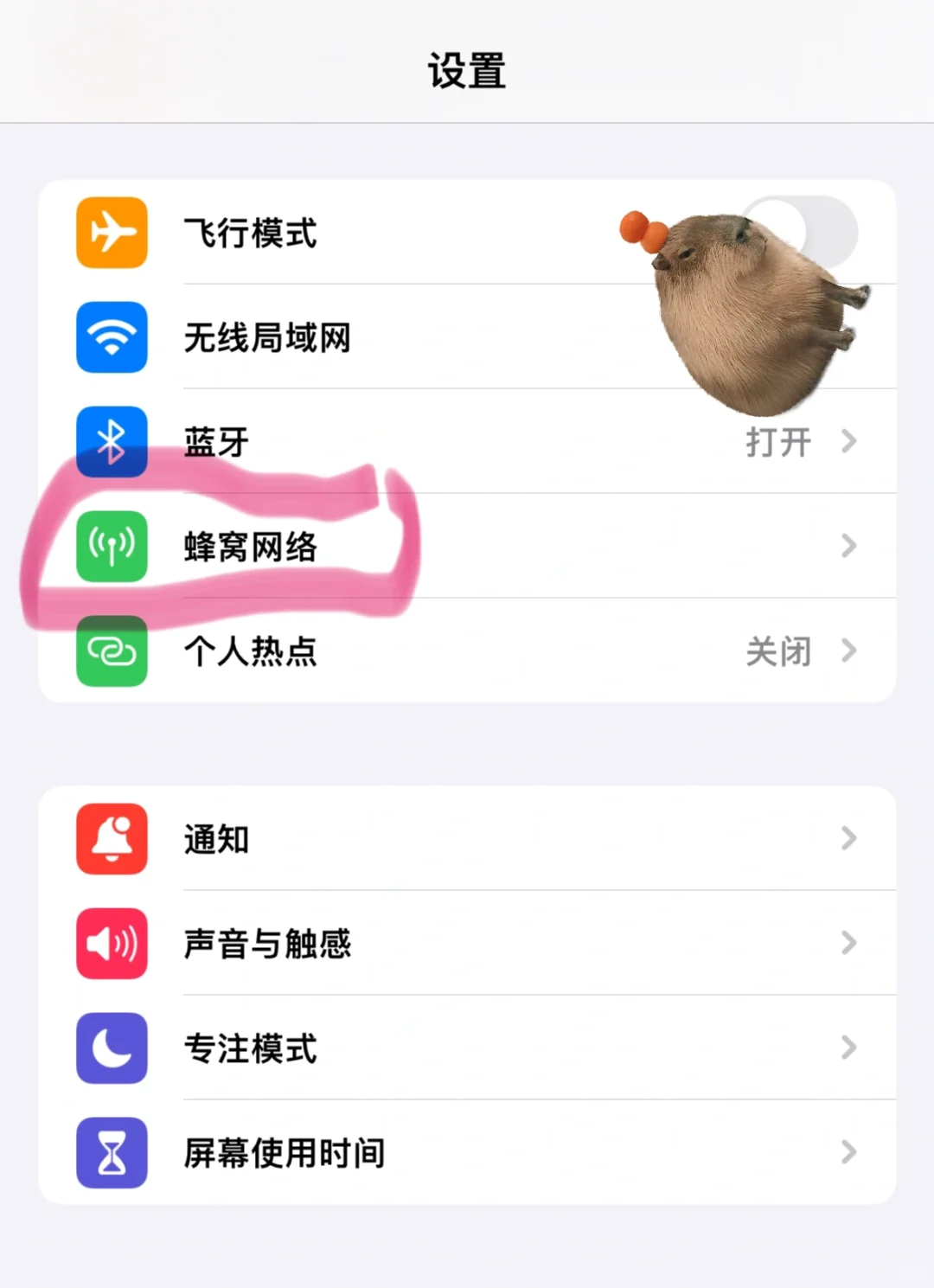 📱苹果手机流量| 关闭切换数据不再跑流量