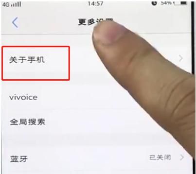 vivo手机的开发者选项在哪里？ - 宋马