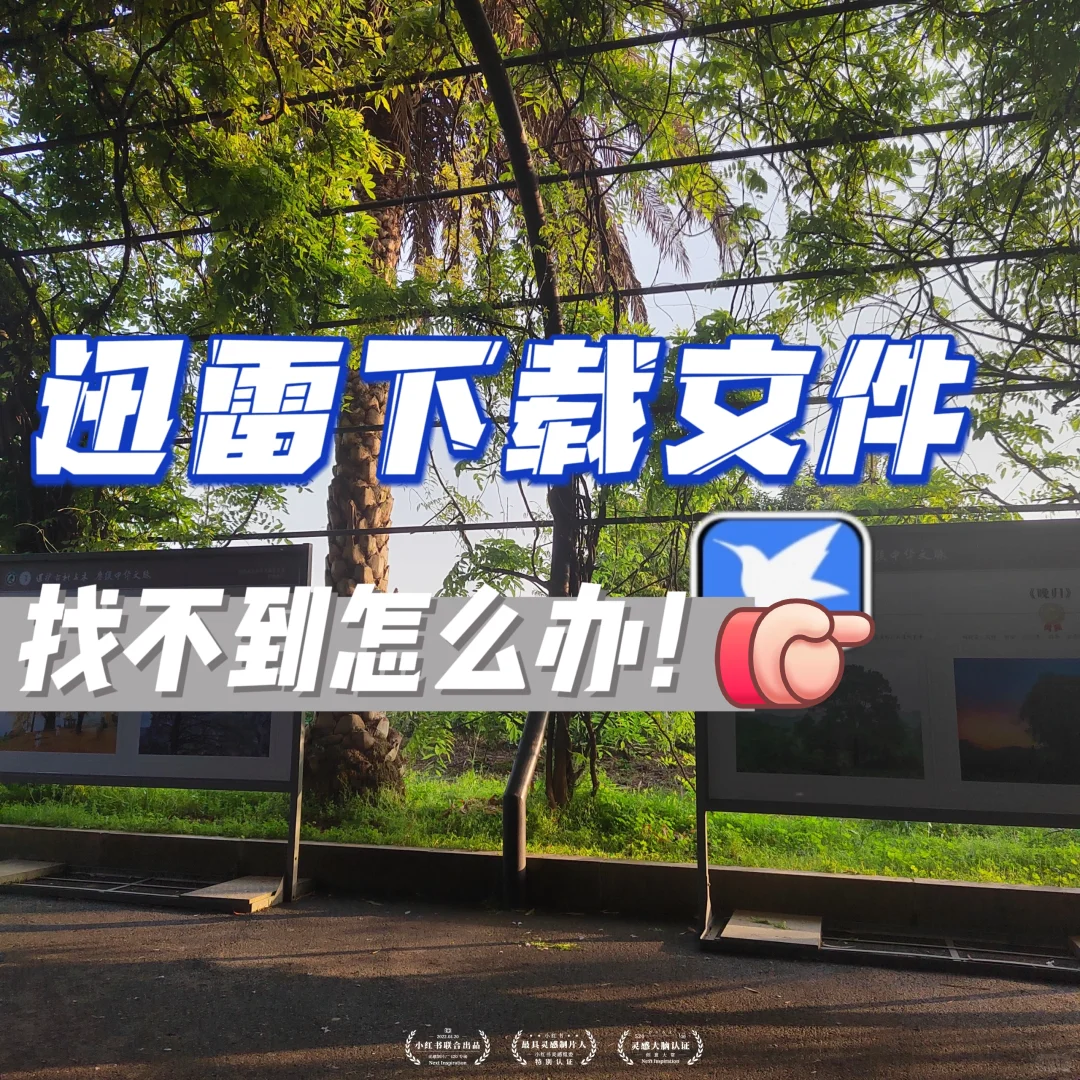 迅雷下载的文件到底在哪🛫