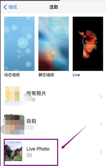 苹果11怎么把视频设置成动态壁纸？
