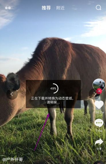 苹果11怎么把视频设置成动态壁纸？